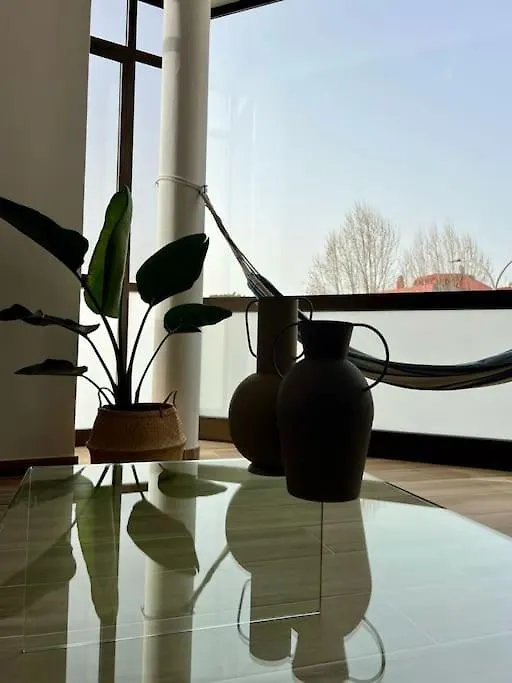 Detail Caballo Blanco I La Matanza De Acentejo Apartmán